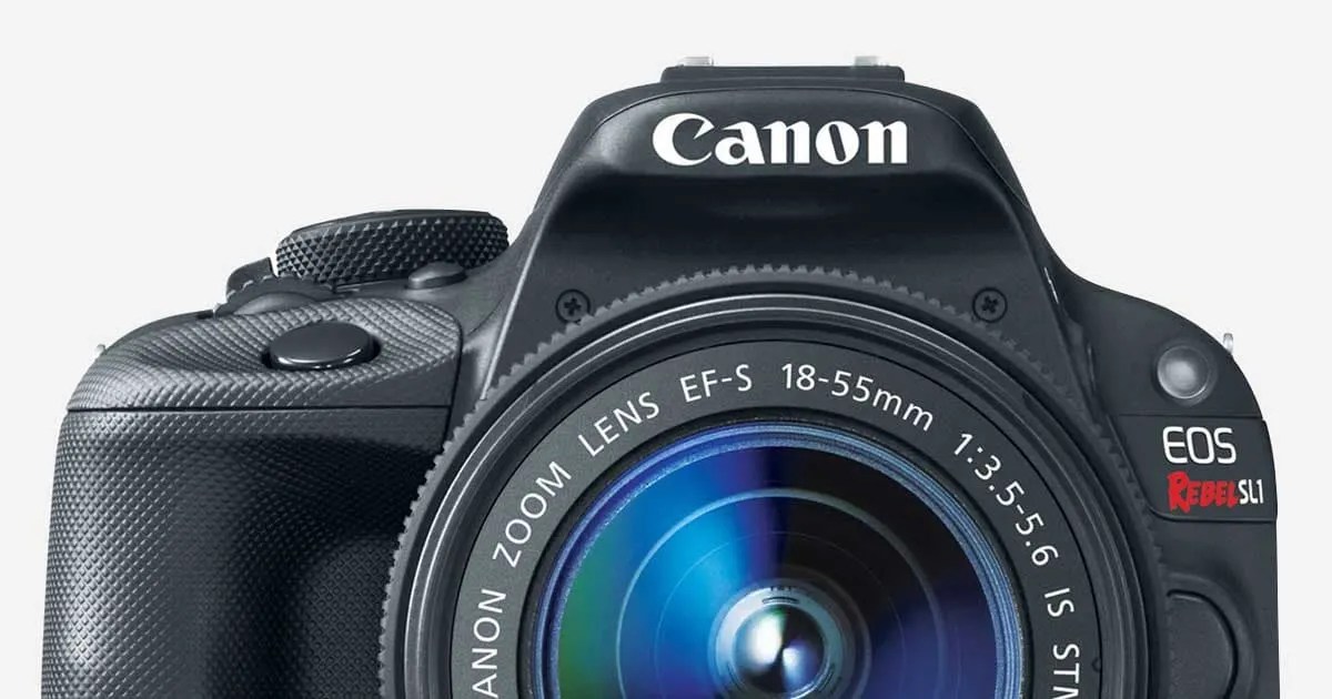Best Camera Reviews Consumer Reports
